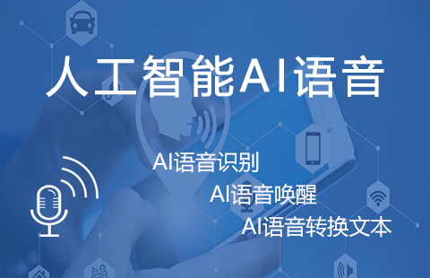 AI语音智能套餐图__北京网站制作